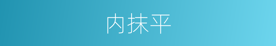 内抹平的同义词