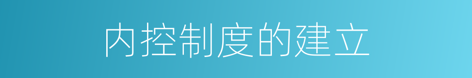 内控制度的建立的同义词