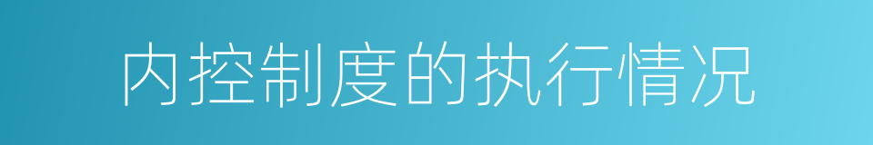 内控制度的执行情况的同义词