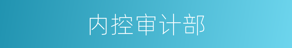 内控审计部的同义词