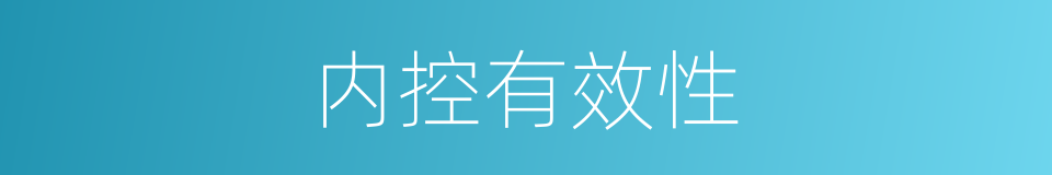 内控有效性的同义词