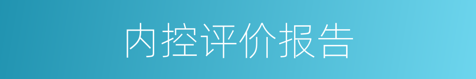 内控评价报告的同义词