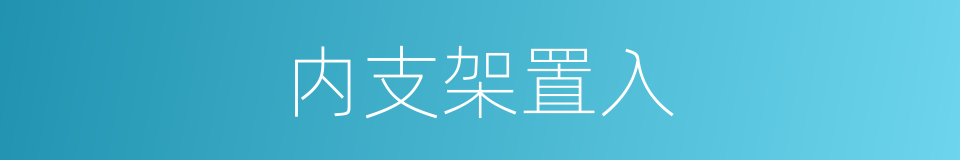 内支架置入的同义词