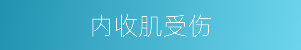 内收肌受伤的同义词