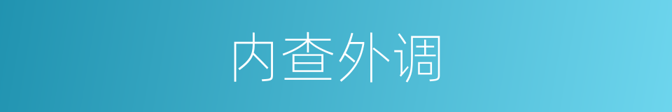 内查外调的意思