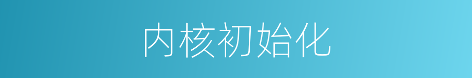 内核初始化的同义词