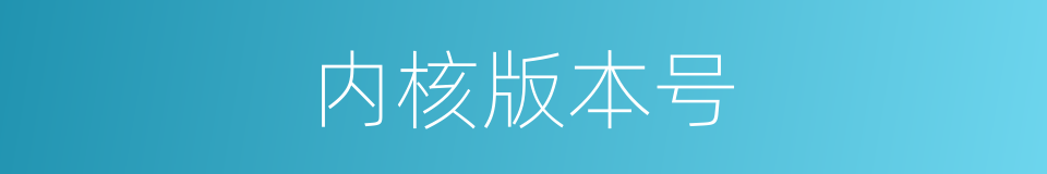 内核版本号的同义词