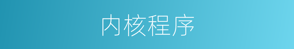 内核程序的同义词