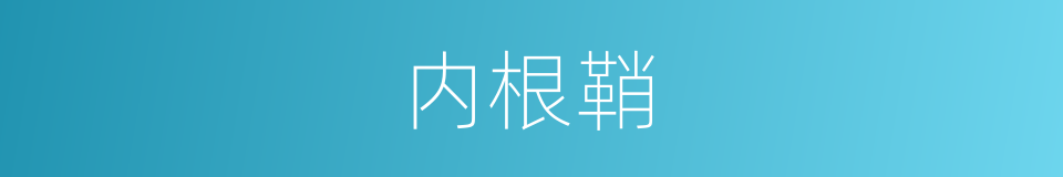 内根鞘的同义词