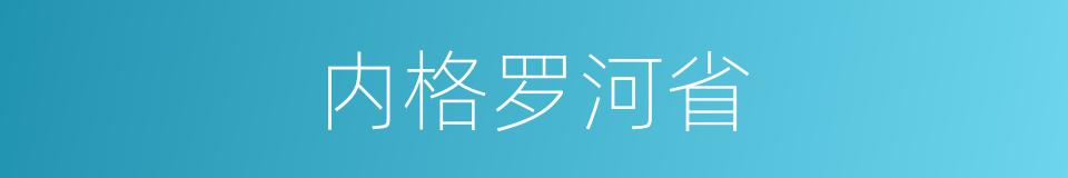 内格罗河省的同义词