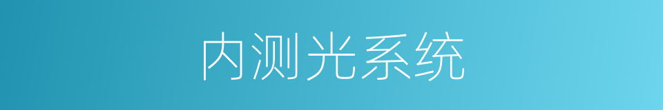 内测光系统的同义词