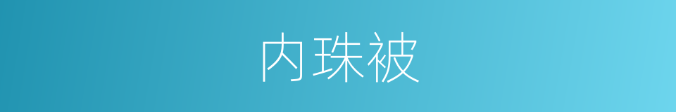 内珠被的同义词