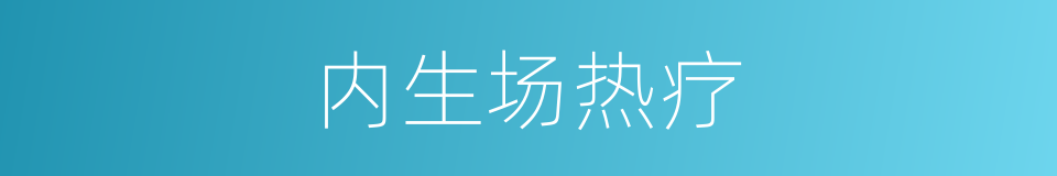 内生场热疗的同义词