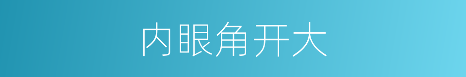 内眼角开大的同义词