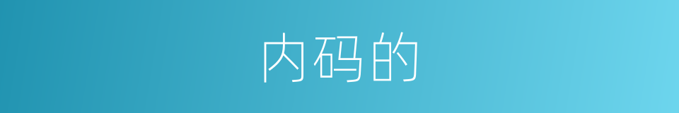 内码的的同义词