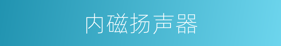 内磁扬声器的同义词