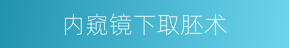 内窥镜下取胚术的同义词