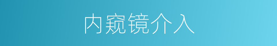 内窥镜介入的同义词