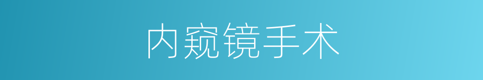 内窥镜手术的同义词