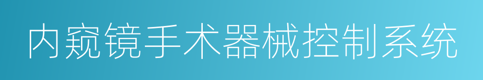 内窥镜手术器械控制系统的同义词