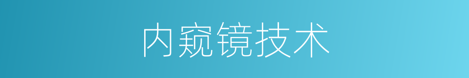 内窥镜技术的同义词