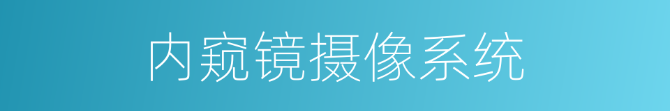 内窥镜摄像系统的同义词