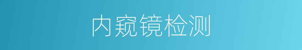 内窥镜检测的同义词