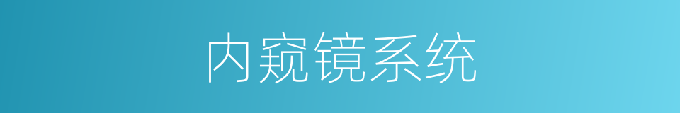 内窥镜系统的同义词