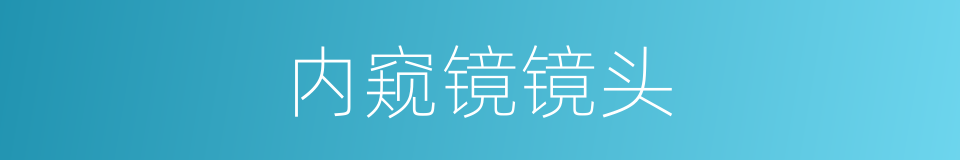 内窥镜镜头的同义词