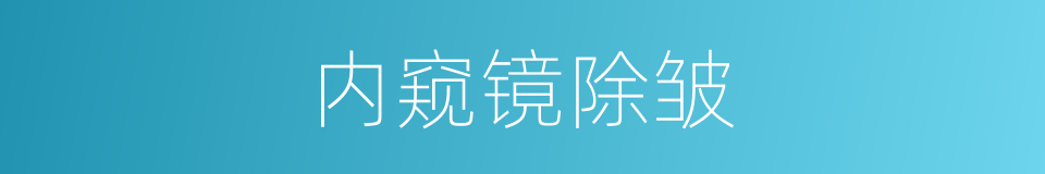 内窥镜除皱的同义词