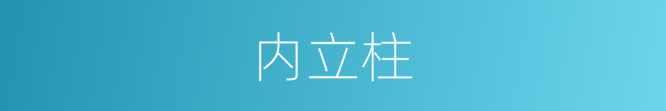 内立柱的同义词