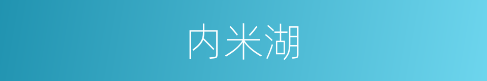内米湖的同义词