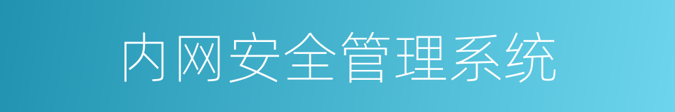 内网安全管理系统的同义词