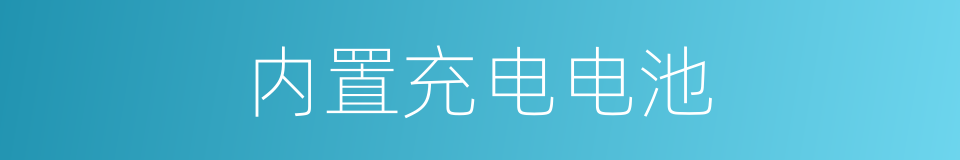 内置充电电池的同义词