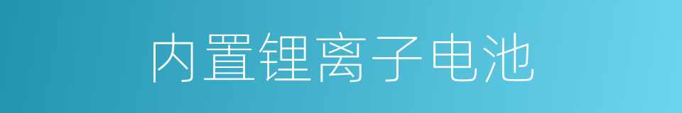 内置锂离子电池的同义词