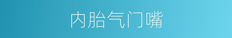 内胎气门嘴的同义词