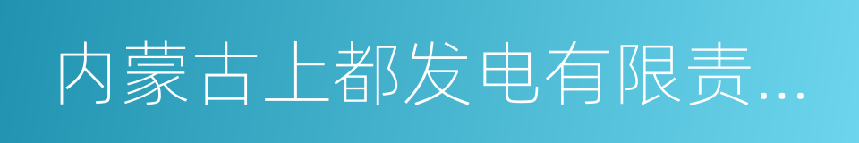 内蒙古上都发电有限责任公司的同义词