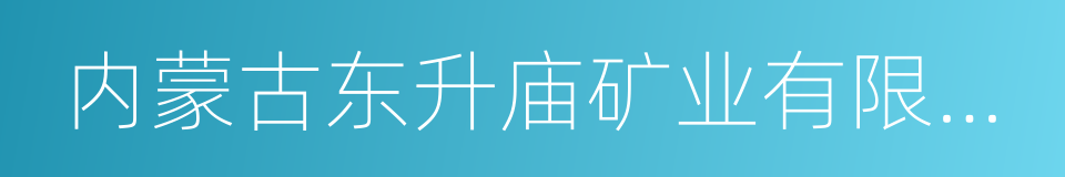 内蒙古东升庙矿业有限责任公司的同义词