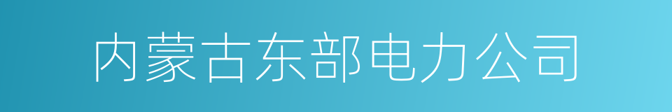 内蒙古东部电力公司的同义词