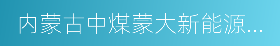 内蒙古中煤蒙大新能源化工有限公司的同义词