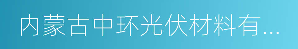 内蒙古中环光伏材料有限公司的同义词