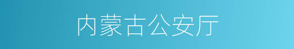 内蒙古公安厅的同义词