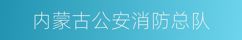 内蒙古公安消防总队的同义词