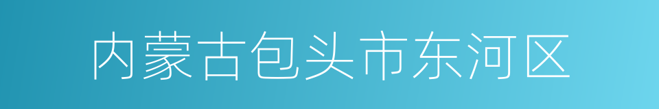 内蒙古包头市东河区的同义词