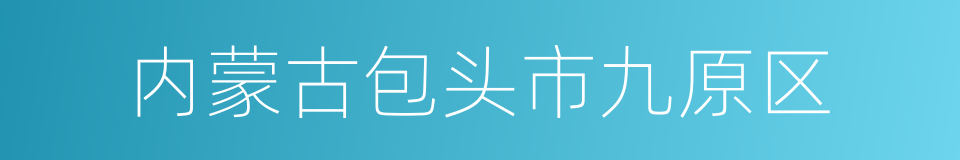 内蒙古包头市九原区的同义词