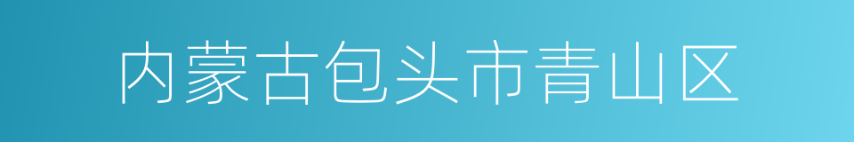 内蒙古包头市青山区的同义词