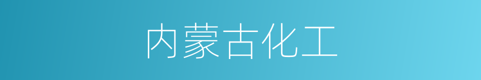 内蒙古化工的同义词