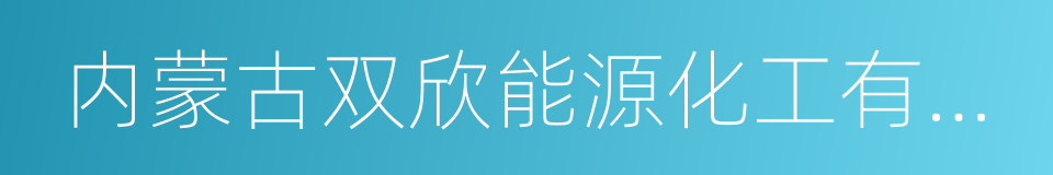 内蒙古双欣能源化工有限公司的同义词