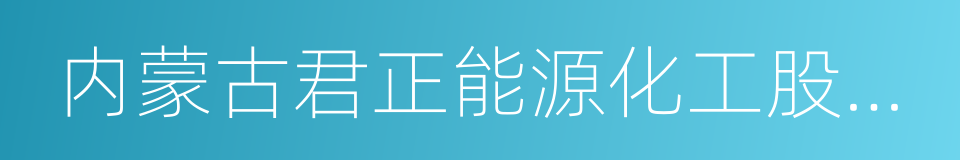 内蒙古君正能源化工股份有限公司的同义词