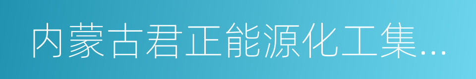 内蒙古君正能源化工集团股份有限公司的同义词